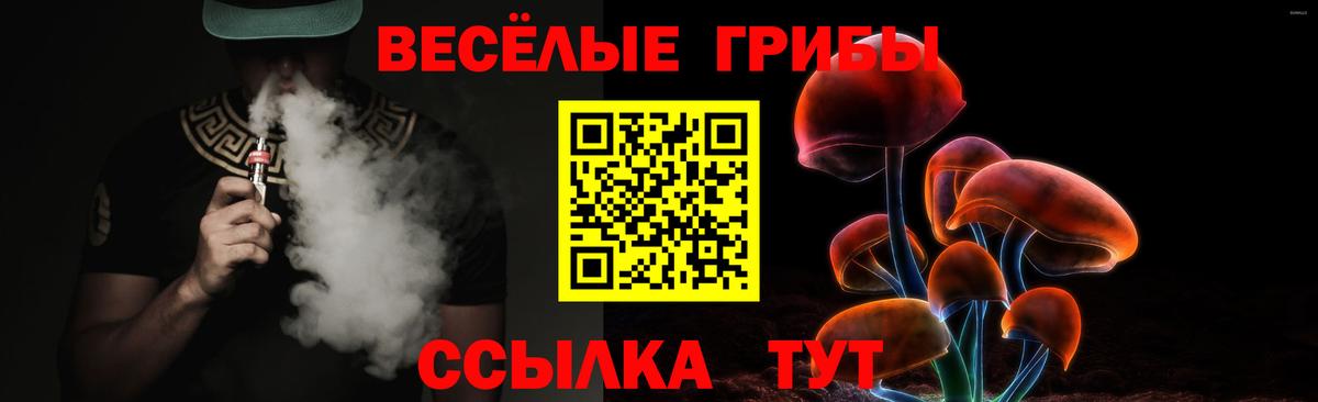 Галлюциногенные грибы Magic Shrooms  цены   Шарыпово  Вход с VPN 